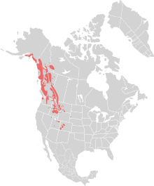 Oreamnos americanus distribution.svg