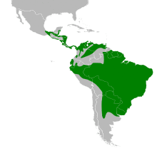 Tapera naevia map.svg