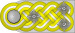 SS Oberst-Gruppenführer h.svg