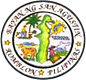 Official seal of San Agustin