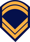 Insignia of a permanent Hellenic air force sergeant.