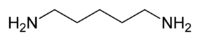 Skeletal formula of cadaverine