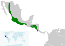 Icterus pustulatus map.svg