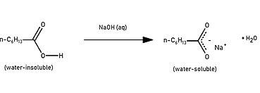 Solubility in different environments.jpg