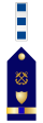 USCG CW4 insignia.svg
