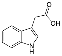 Indol-3-ylacetic acid.svg
