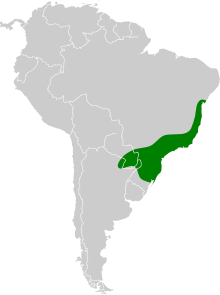 Artibeus fimbriatus map.svg