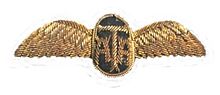 Ata-wings-300.jpg