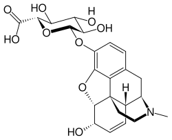 Morphine-3-glucuronide.svg