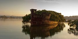 Homebush Bay - SS Ayrfield.jpg
