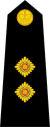 Lieutenant