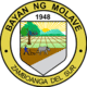 Official seal of Molave