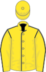 Yellow, dark blue seams, yellow cap