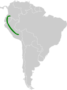 Vampyressa melissa map.svg