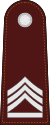 Police sergeant major