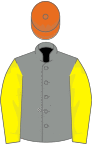 Grey, Lemon sleeves, Orange cap