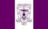 Sigma Alpha Mu flag.jpg