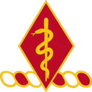 204 Spt Bn DUI.png