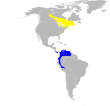 Wilsonia canadensis map.svg