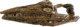 Tylosaurus saskatchewanensis holotype flipped RSM P2588.1.png