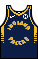 Kit body indianapacers icon.png