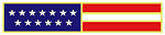 American Flag Breast Bar.jpg