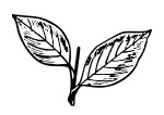 Indian election symbol two leaves.svg