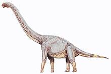 Sonorasaurus thompsoni.jpg