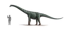 Rinconsaurus test 2.jpg