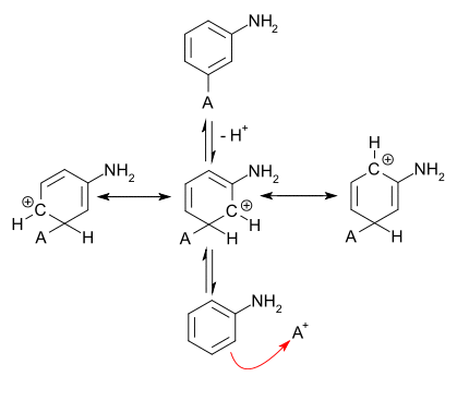 resonance structures for meta attack of an electrophile on aniline
