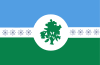 Flag of Coronel Suarez