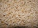 A closeup of puffed rice.JPG