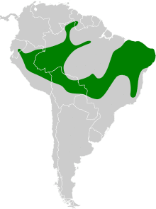 Furnarius leucopus map.svg