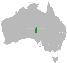 Ophidiocephalus taeniatus distribution.svg