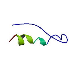 PBB Protein PYY image.jpg