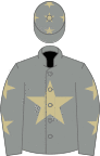 Grey, beige star, grey sleeves, beige stars and stars on cap