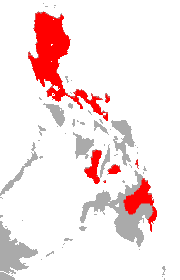 Philippine Forest Roundleaf Bat area.png