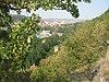 Jug Bogdan Tower1.jpg