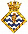 THETIS badge-1-.jpg