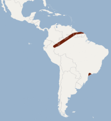 Distribution of Micronycteris brosseti.png
