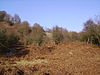Newton Fell - geograph.org.uk - 114989.jpg