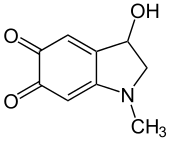 Structural formula of adrenochrome