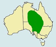 Pogona vitticeps distribution.jpg