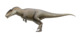 Carcharodontosaurus.png