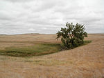 Cedar River National Grassland.jpg