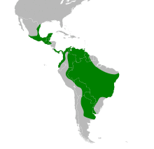 Lasiurus ega map.svg