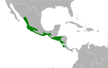 Morococcyx erythropygus map.svg