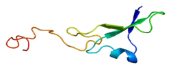 Protein NRG1 PDB 1hae.png
