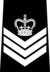 Edmonton Police - Staff Sergeant.png