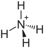 The ammonium cation